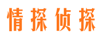 九原市婚外情调查